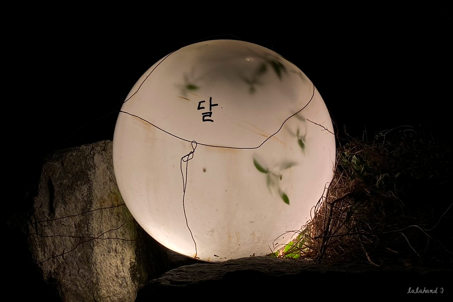 꼬꼬시티용유역점 이미지