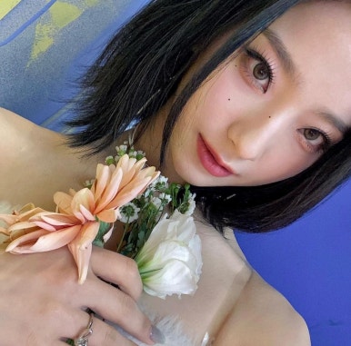 아이비주얼 이미지