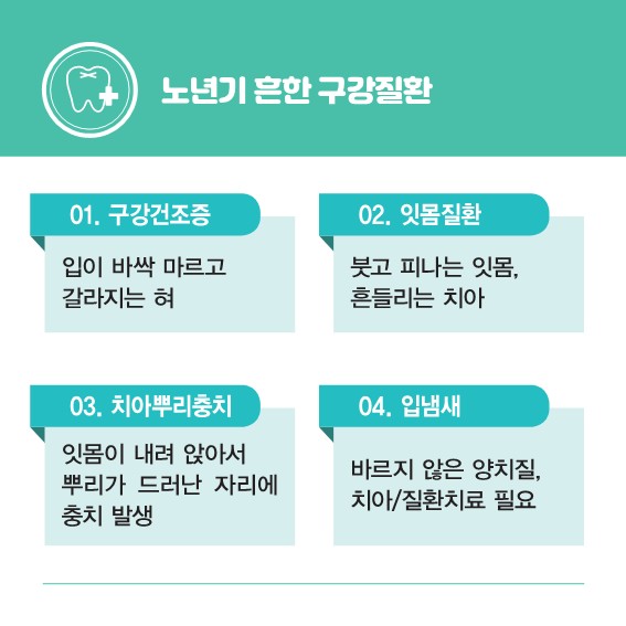늘푸른관리 이미지
