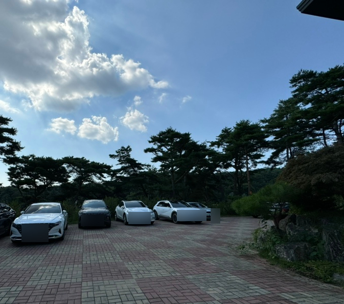 금베이숲 이미지