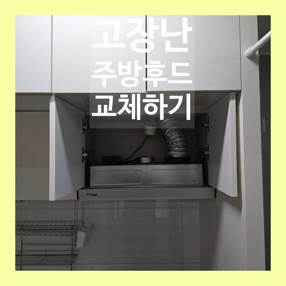 데이비드리페어 이미지