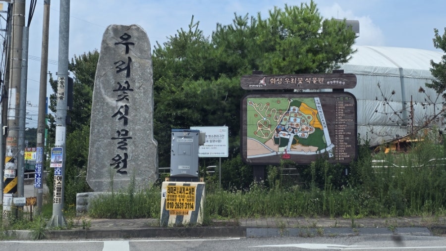 태양꽃식물원 이미지