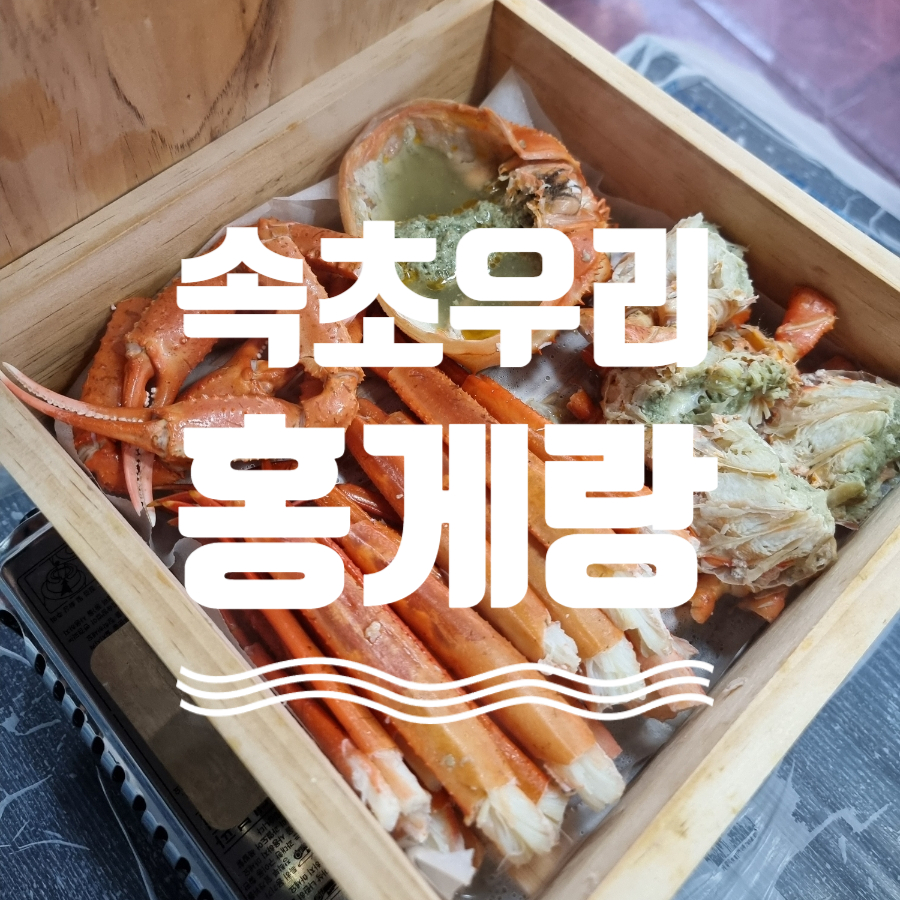 속초우리홍게랑 이미지