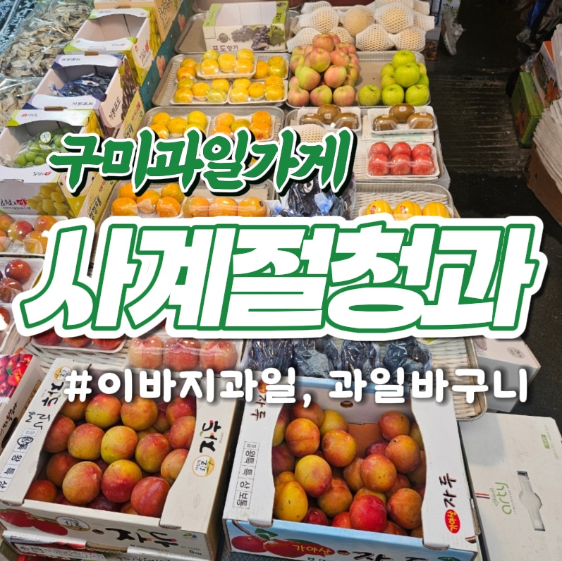 사계절청과 이미지