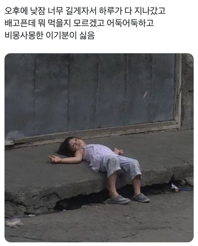 룰루리 이미지