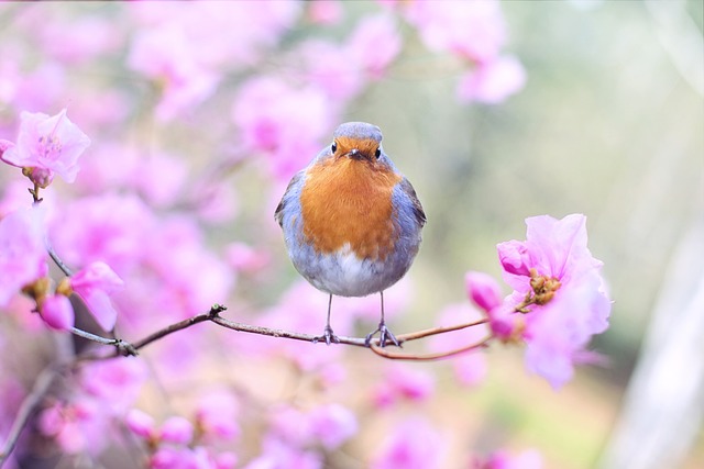 수석검도관 이미지