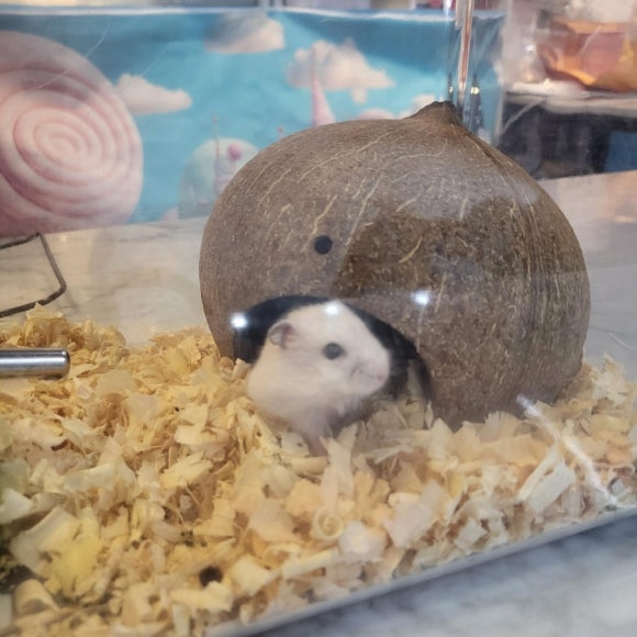 나씽베러 이미지
