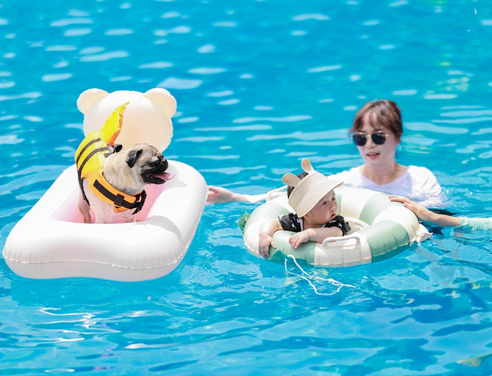 용인 도그베이 강아지 수영장, 주말 나들이 후기 — 사진 4