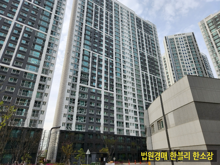 코포레스트 이미지