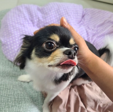 누나테라피 이미지