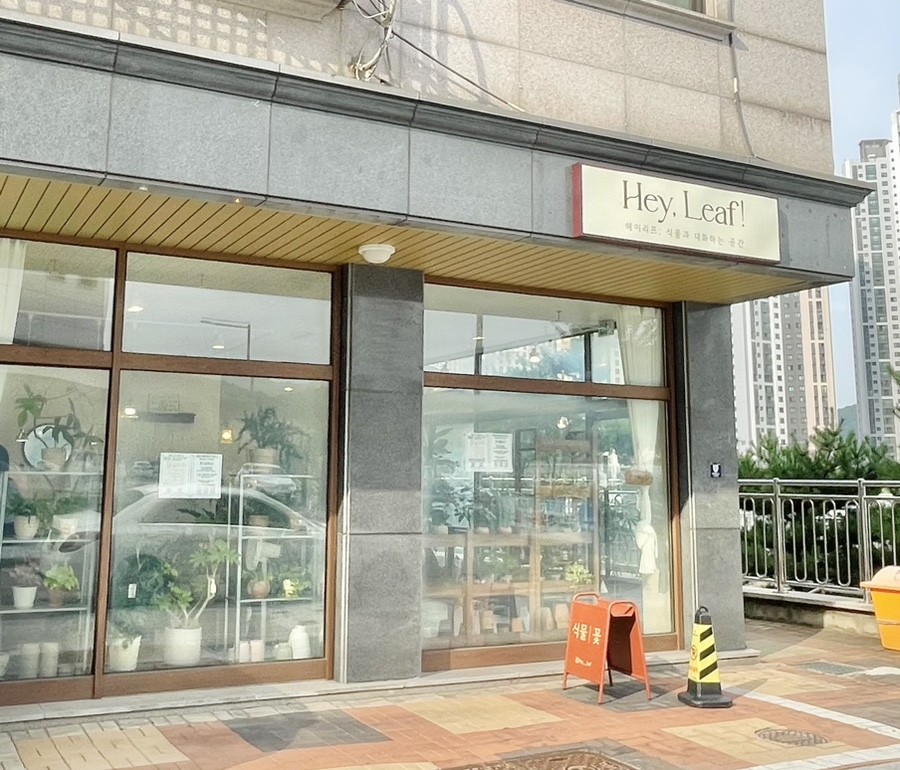 헤이리프 이미지