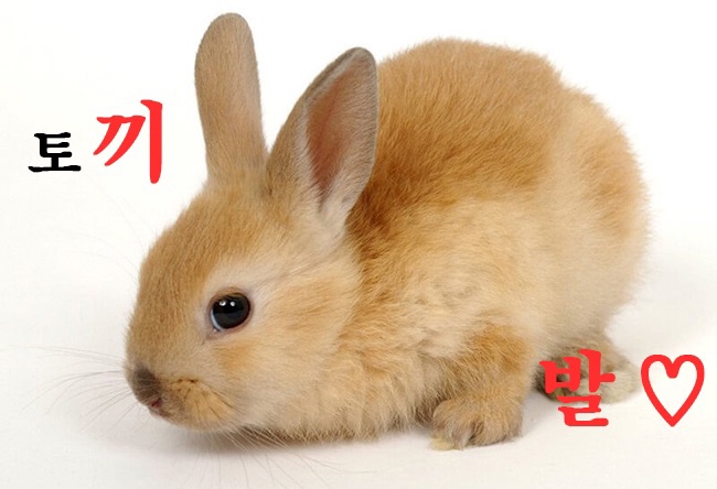 심플베이커리 이미지