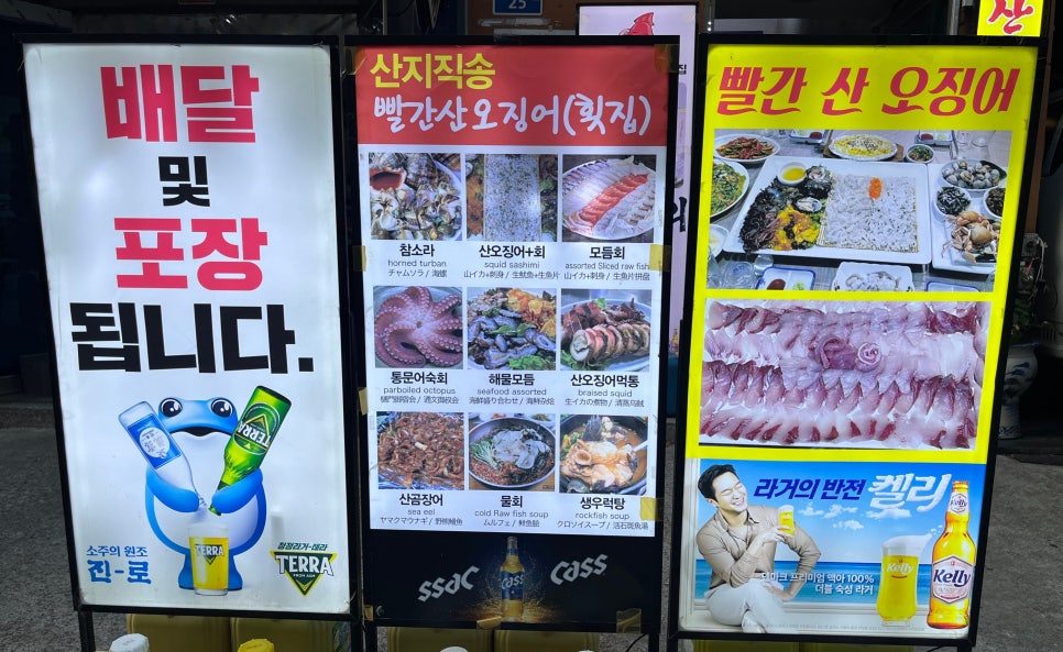 빨간산오징어 이미지