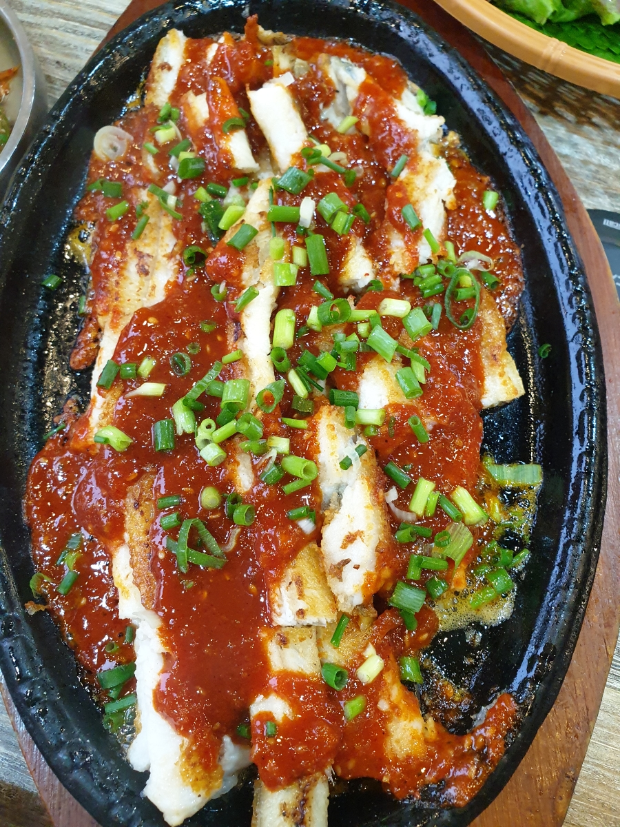 다도장어 이미지
