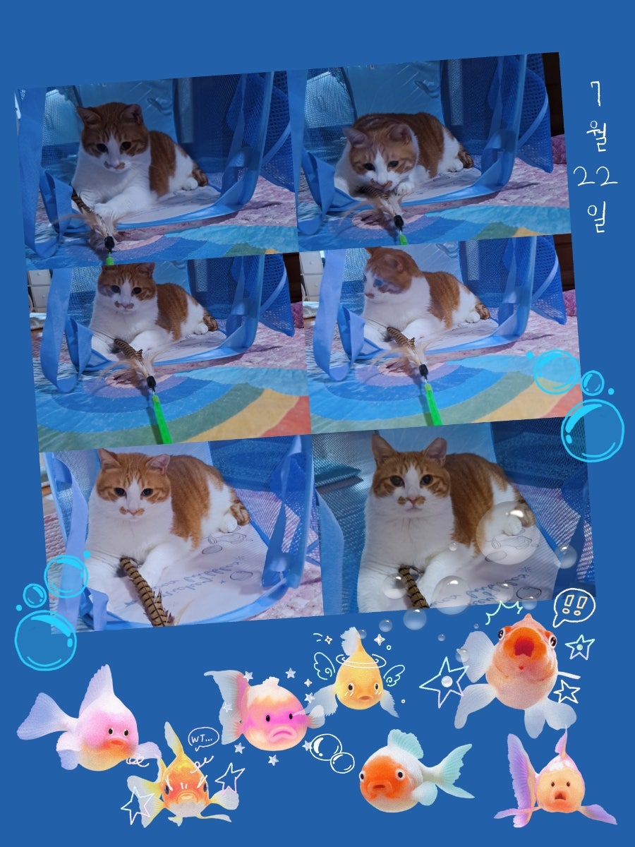 미키세탁 이미지