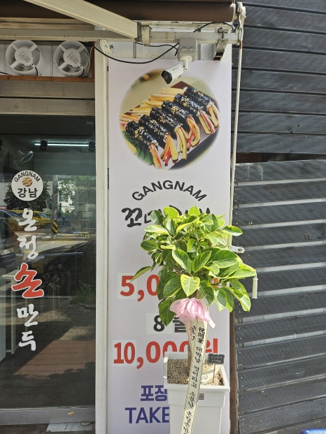 강남온정손만두 이미지