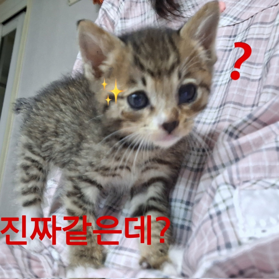 김유라헤어 이미지