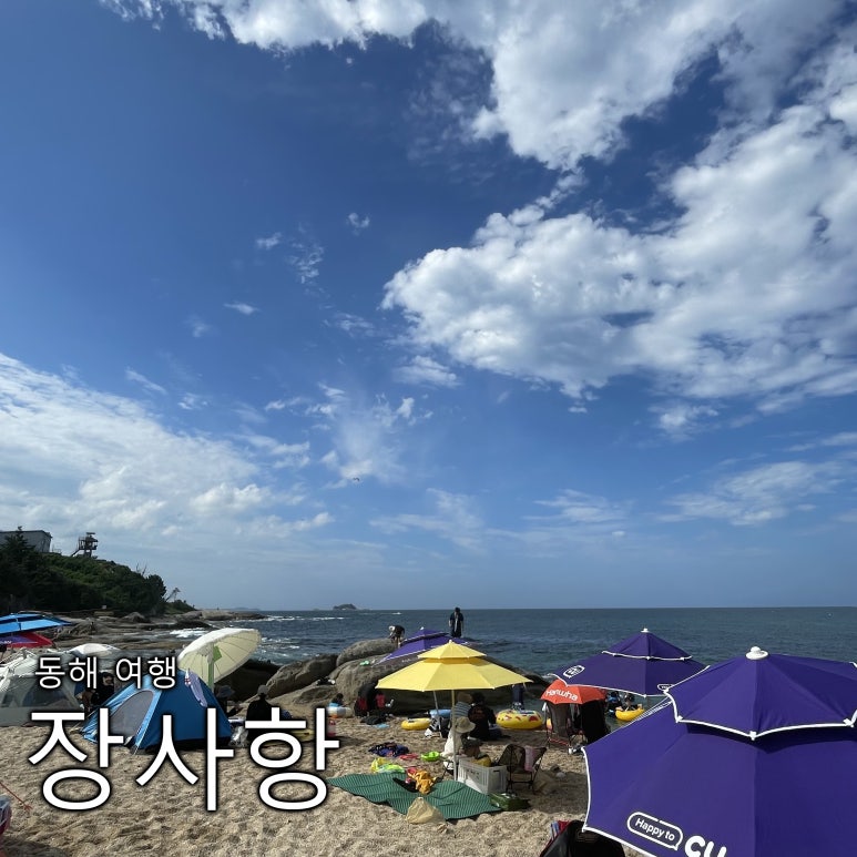 경기건어물 이미지