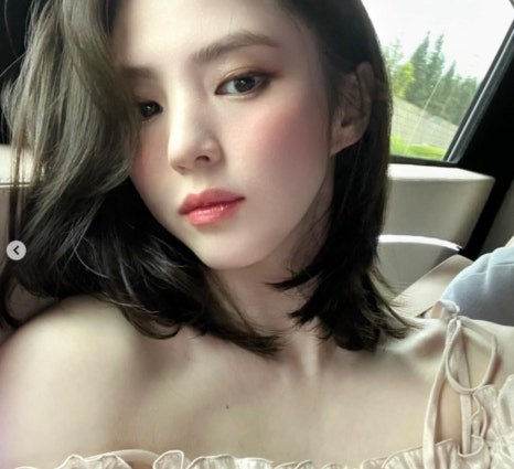 레브하헤어 이미지