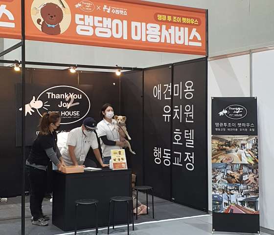 조이하우스 이미지