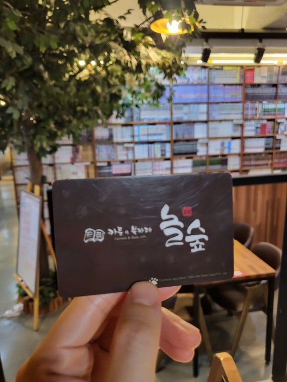 놀숲신부점 이미지