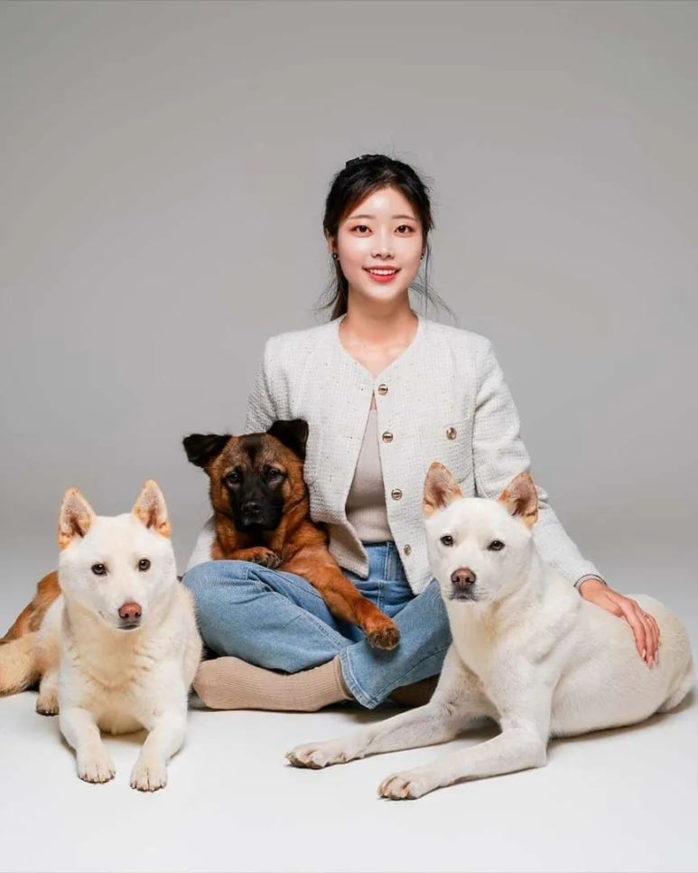마젠타 이미지