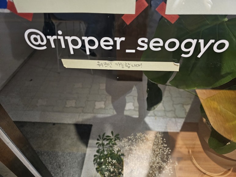 스텔라지 이미지