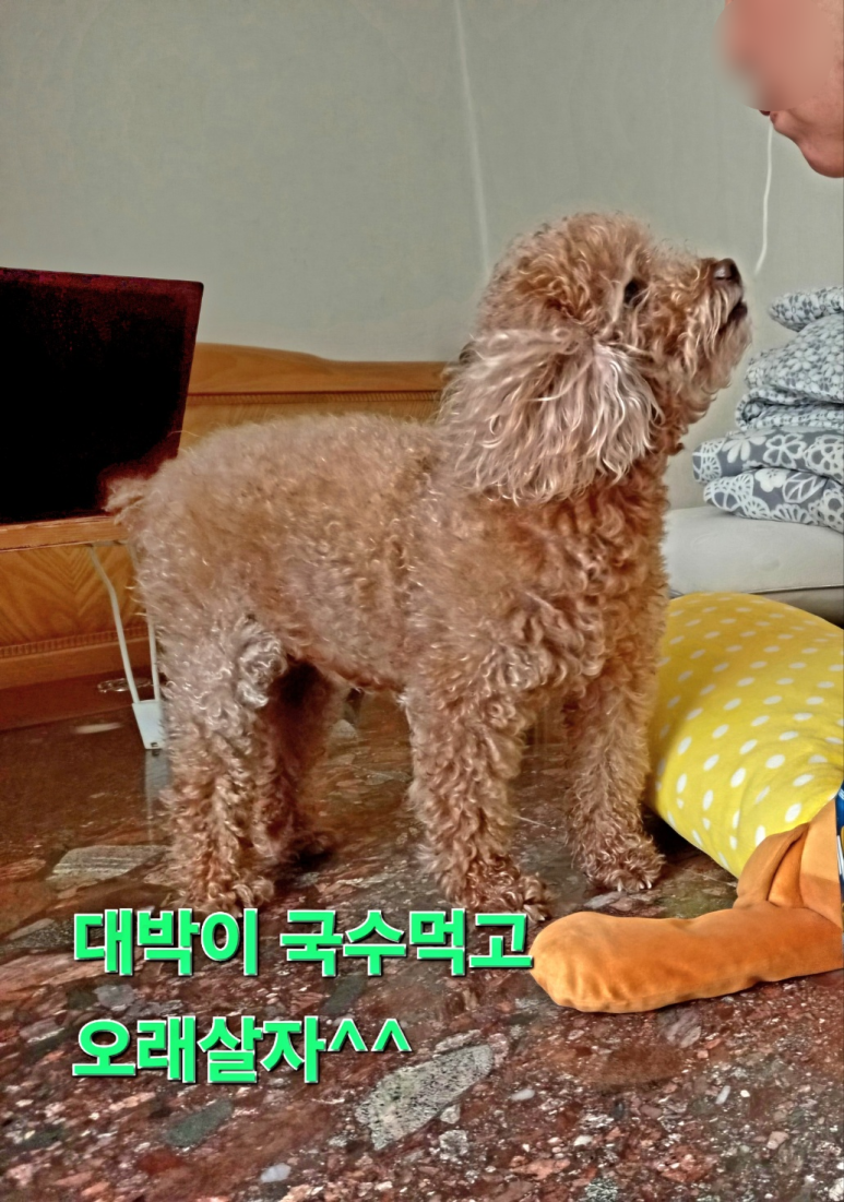 다쓰에너지 이미지