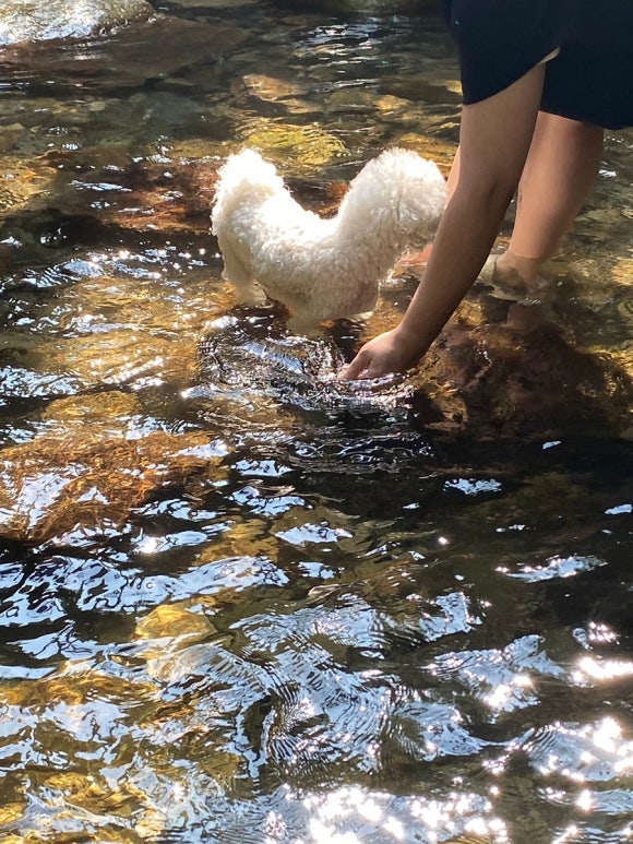 석산상회 이미지