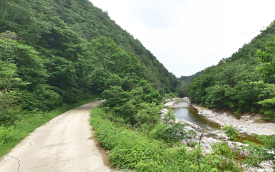 법수치오토캠핑장 이미지