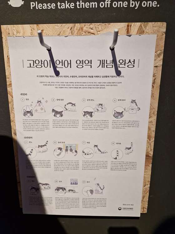 카페 솔빛로 이미지