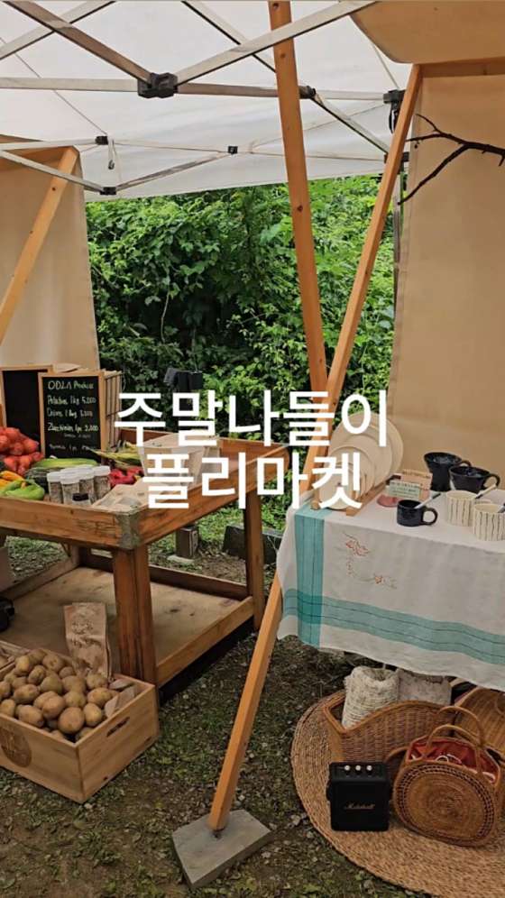 캄파슬로우 이미지