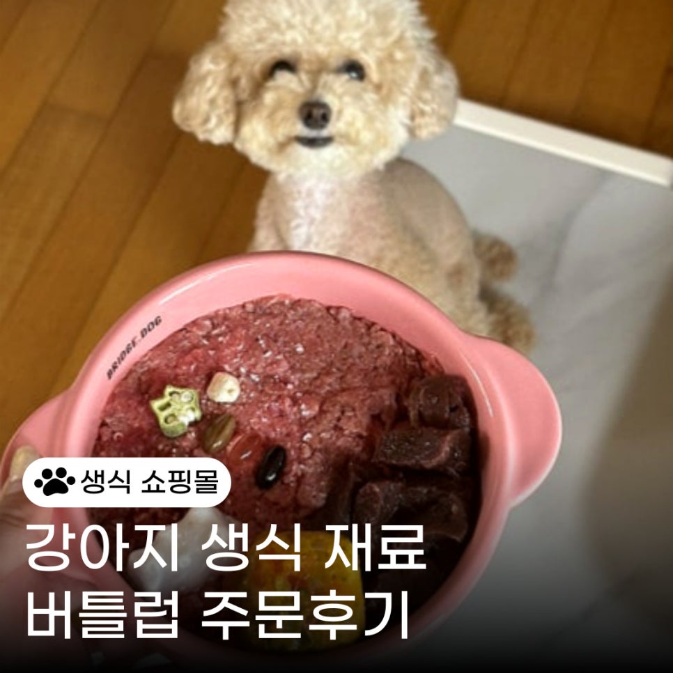 버틀럽 이미지