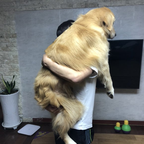 지세포주유소 이미지