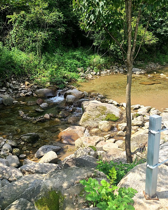 트리캠핑장 이미지