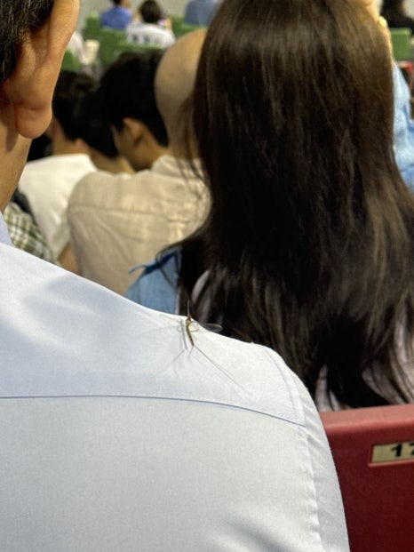 육회바른연어구로지타워몰점 이미지