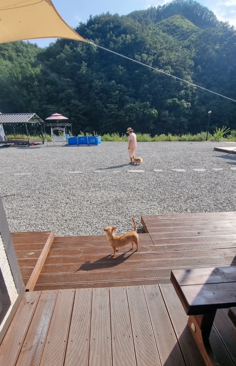 행복이넘치는강펜션 이미지
