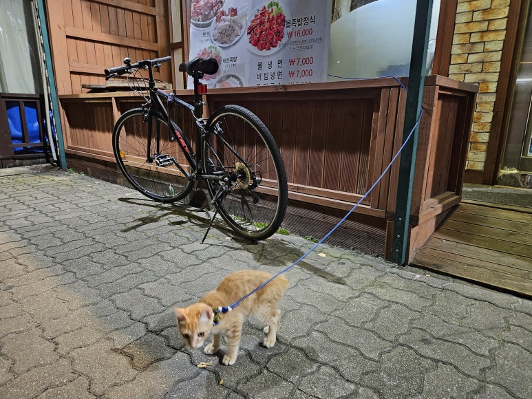 정다담족발 이미지