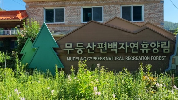 무등산편백자연휴양림 이미지