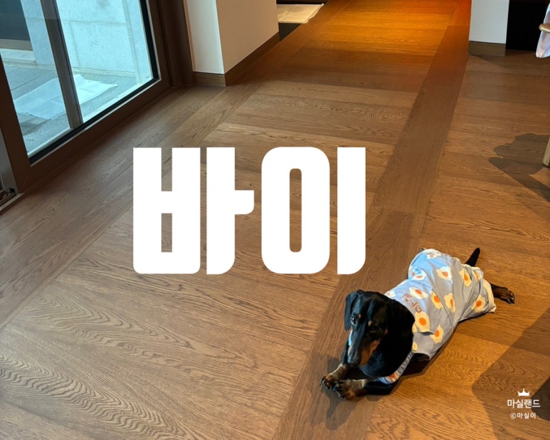 스시아카리(sushi akari) 이미지