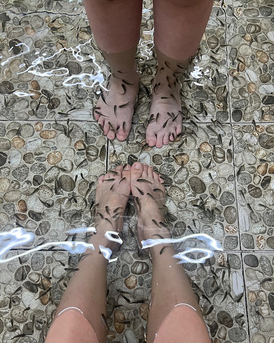 멜리니스 이미지