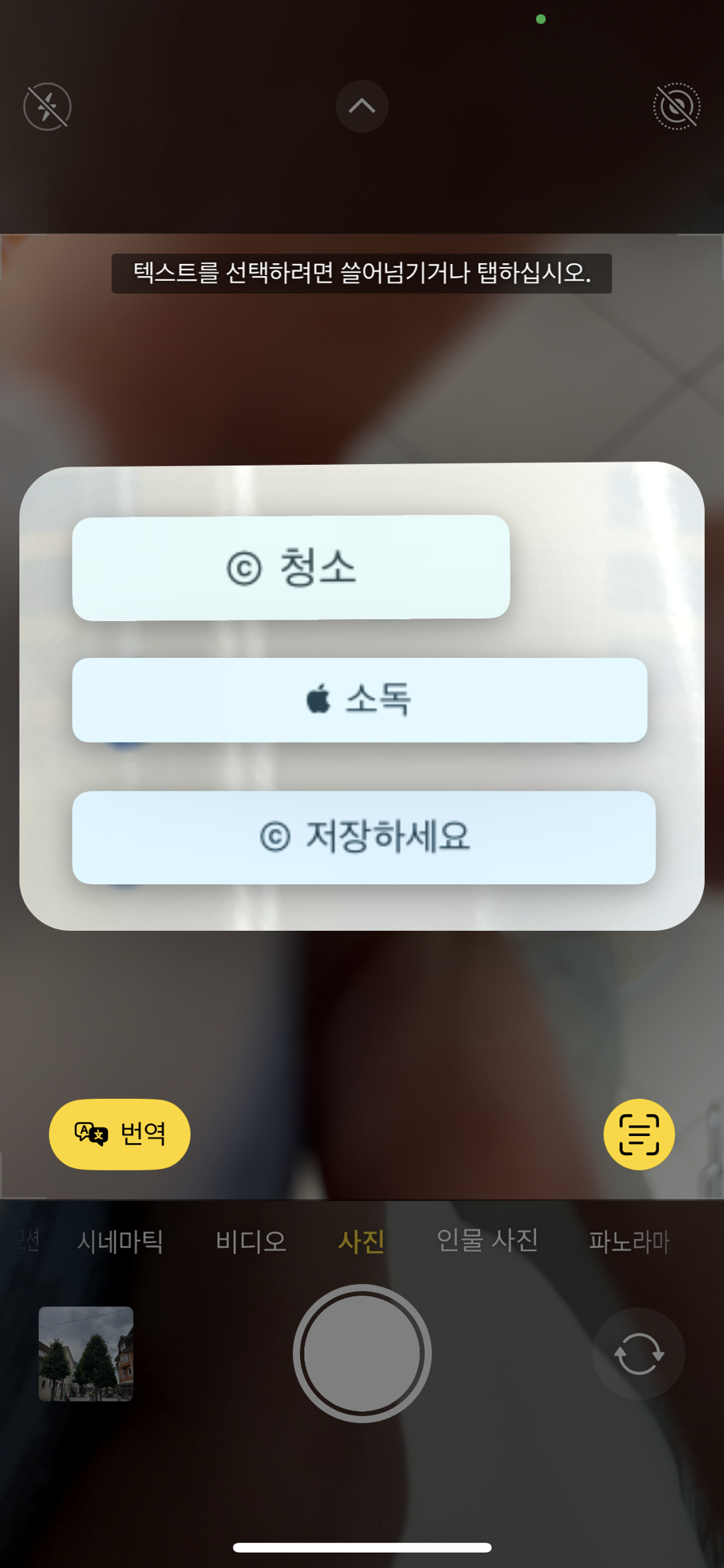 아시아마트띠엔 이미지