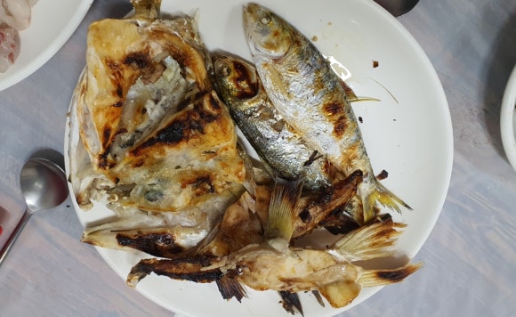 중앙아케이트 이미지