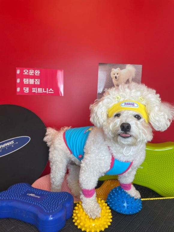 램블 이미지