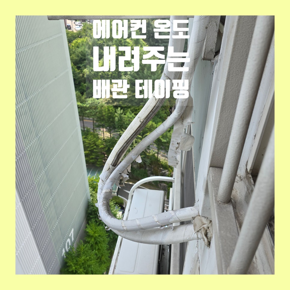 데이비드리페어 이미지