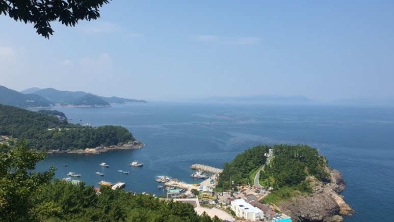 바다,달다 이미지