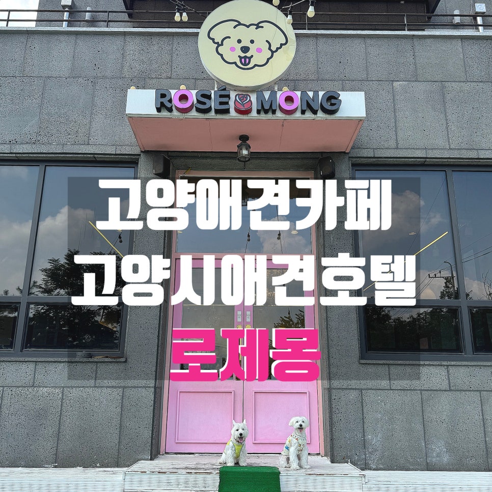 로제몽 이미지
