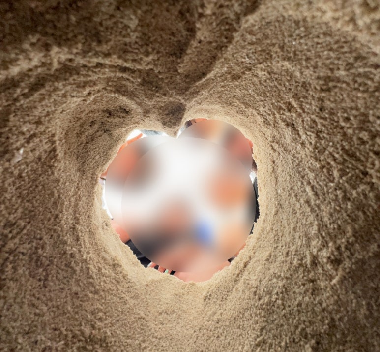 오나투어 이미지