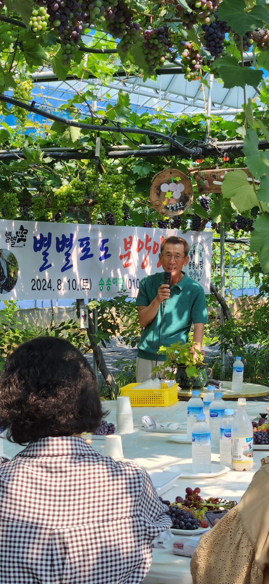 송송팜 이미지