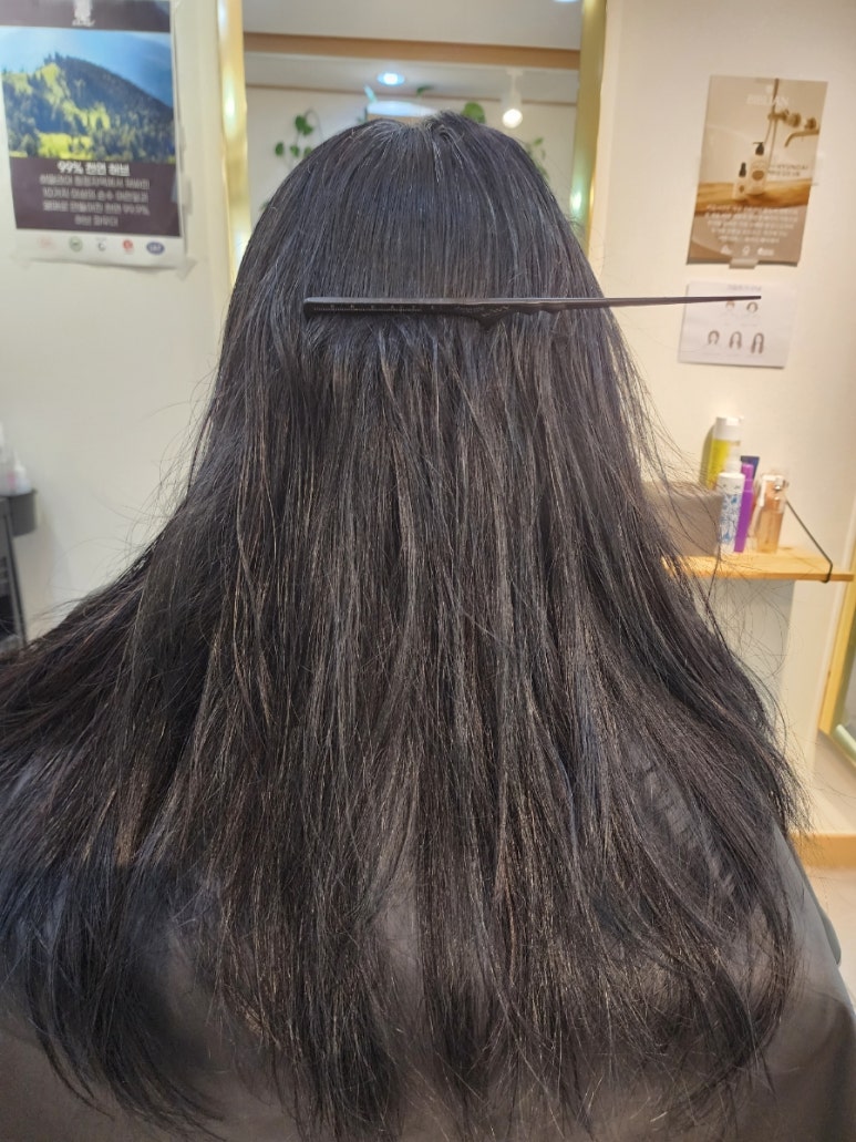 쏭다올 이미지